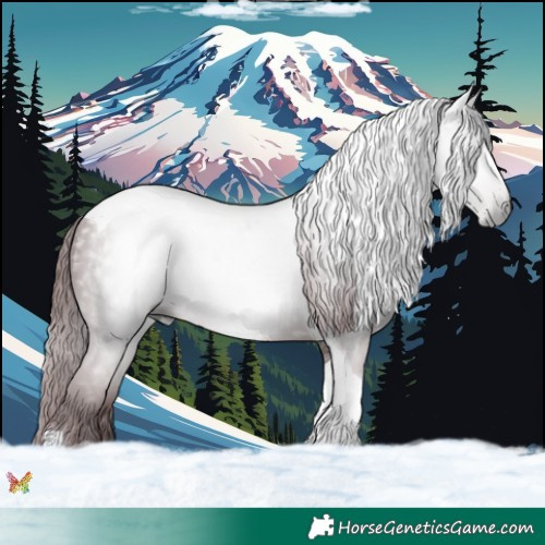 Horse Color:Gray Platinum Chocolate Brown Tobiano 