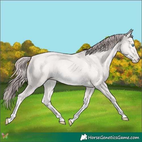 Horse Color:Platinum Buckskin Pearl Tobiano 