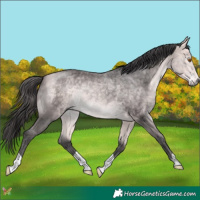 Horse Color:Platinum Buckskin 