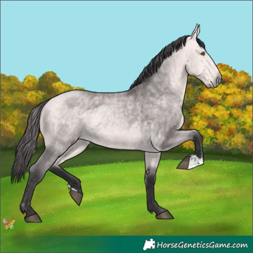 Horse Color:Platinum Buckskin 