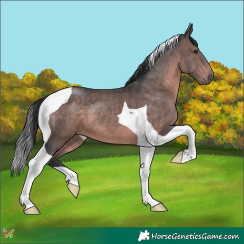 Horse Color:Platinum Brown Tobiano