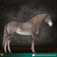 Horse Color:Platinum Liver Chestnut 