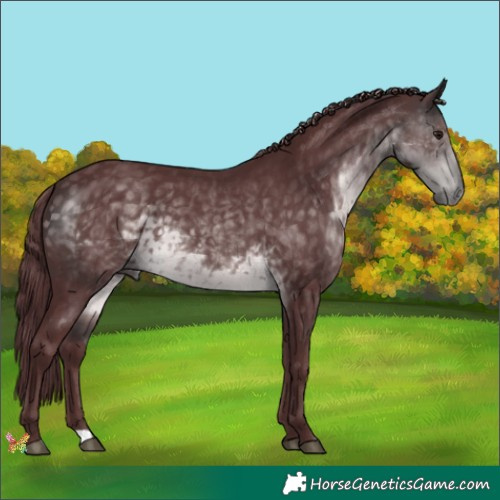 Horse Color:Platinum Chocolate Buckskin 