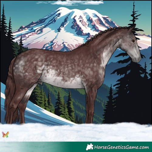 Horse Color:Platinum Chocolate Buckskin 