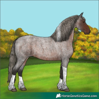 Horse Color:Liver Red Roan Mushroom Tobiano 