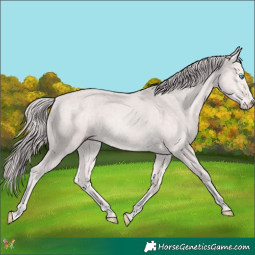 Horse Color:Platinum Perlino