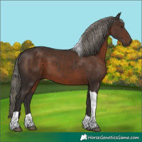 Horse Color:Liver Chestnut Mushroom Tobiano 