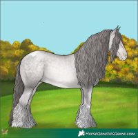 Horse Color:Platinum Buckskin Pearl Tobiano 