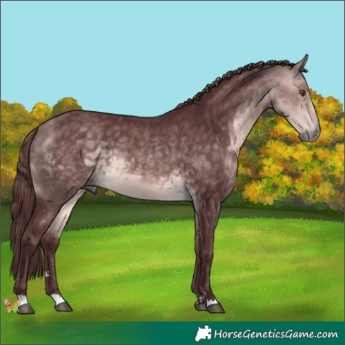 Horse Color:Platinum Chocolate Buckskin 