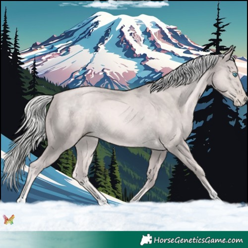 Horse Color:Platinum Chocolate Palomino Pearl 