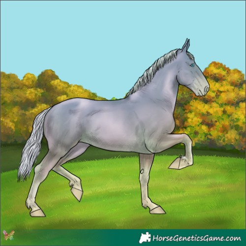 Horse Color:Silver Buckskin Pearl 