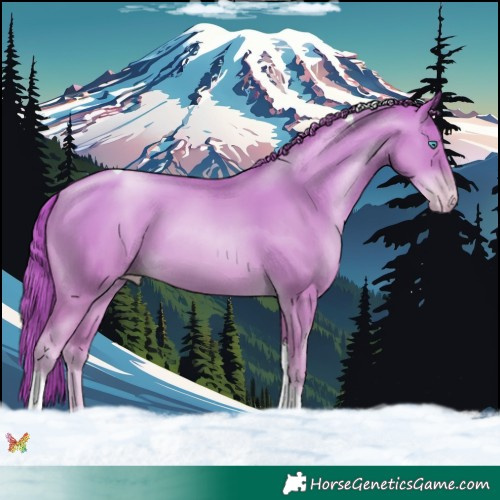 Horse Color:Gold Champagne Pearl Tobiano 