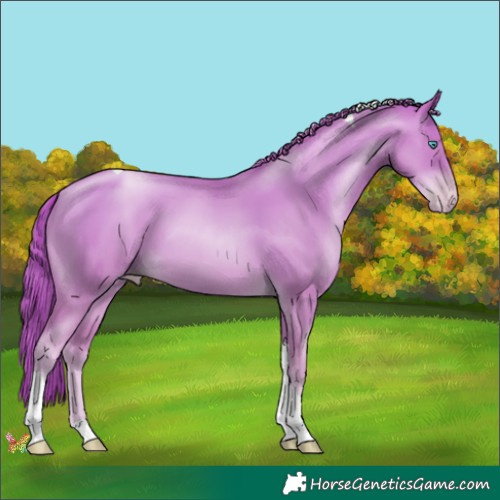 Horse Color:Gold Champagne Pearl Tobiano 