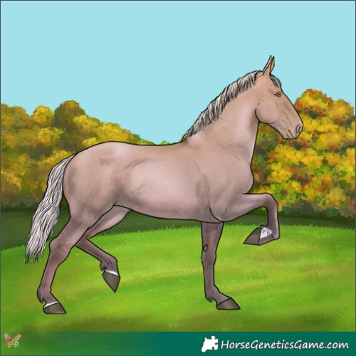 Horse Color:Silver Brown Snowdrop Pearl Dun 