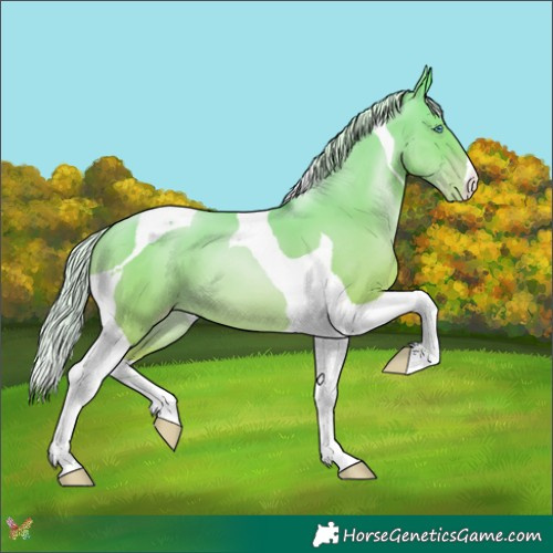 Horse Color:Silver Amber Cream Champagne Pearl Tobiano 