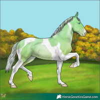 Horse Color:Silver Amber Cream Champagne Pearl Tobiano