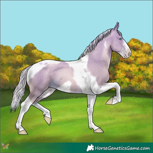 Horse Color:Silver Smoky Black Pearl Tobiano Frame 