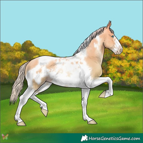 Horse Color:Silver Classic Cream Champagne Pearl Dun Tobiano Frame 