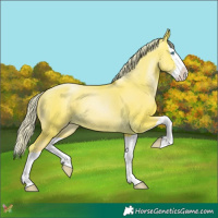 Horse Color:Silver Sable Cream Champagne Pearl Dun Splash 
