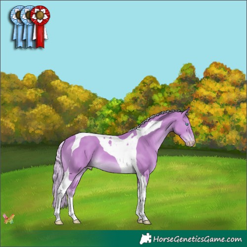 Horse Color:Cremello Tobiano 