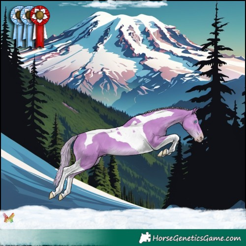 Horse Color:Cremello Tobiano 
