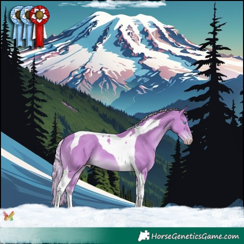 Horse Color:Cremello Tobiano 