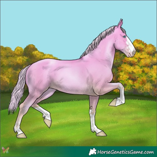 Horse Color:Silver Amber Cream Champagne Pearl Dun