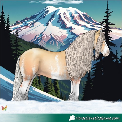 Horse Color:White Spotted Silver Classic Champagne Pearl Dun Splash Rabicano 