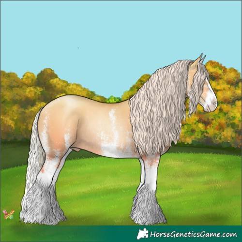 Horse Color:White Spotted Silver Classic Champagne Pearl Dun Splash Rabicano 