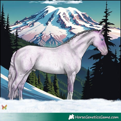 Horse Color:Silver Buckskin Roan Pearl Tobiano 