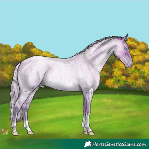 Horse Color:Silver Buckskin Roan Pearl Tobiano 