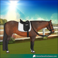 Horse Color:Brown 