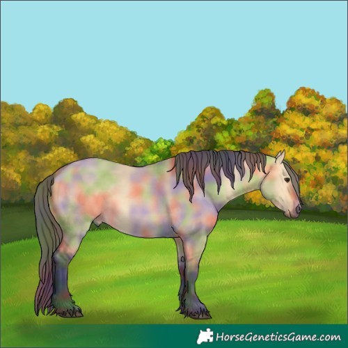 Horse Color:Nacre Buckskin Dun 