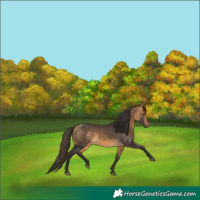 Horse Color:Buckskin 