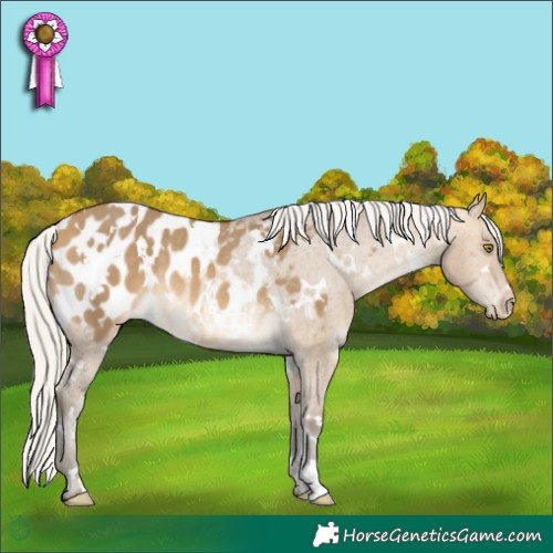 Horse Color:White Spotted Silver Buckskin Dun Blanket Rabicano 