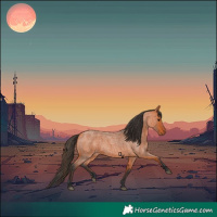 Horse Color:Bay Roan 
