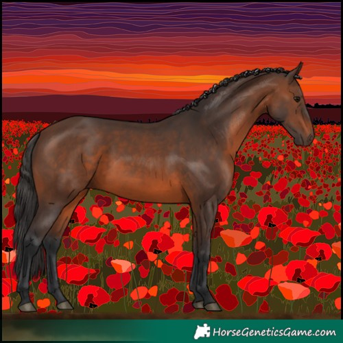 Horse Color:Brown 