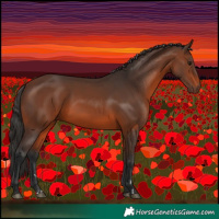Horse Color:Brown 