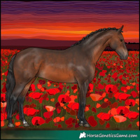 Horse Color:Brown 