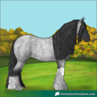 Horse Color:Blue Roan Tobiano 