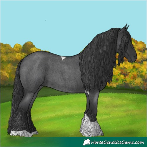 Horse Color:Blue Roan Tobiano 