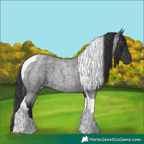 Horse Color:Blue Roan Tobiano