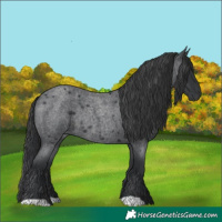 Horse Color:Blue Roan Rabicano 