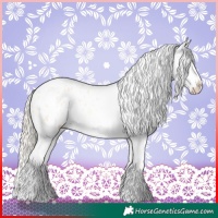 Horse Color:Gold Cream Champagne Roan Dun Splash Tobiano Frame Appaloosa Rabicano 