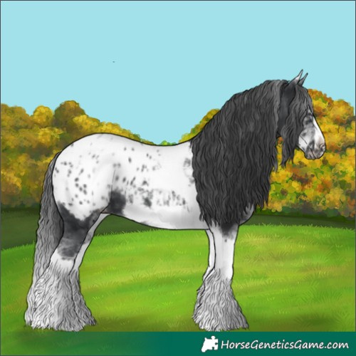 Horse Color:White Spotted Black Splash Tobiano Frame Blanket 