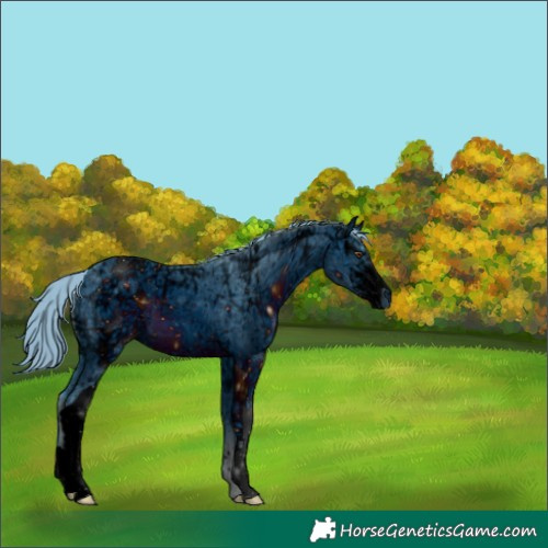 Horse Color:ERROR: UNKNOWN ANOMALY