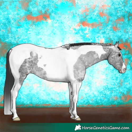 Horse Color:Black Ice Tobiano Appaloosa 