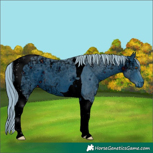 Horse Color:ERROR: UNKNOWN ANOMALY