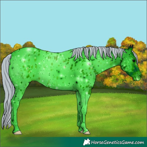 Horse Color:ERROR: UNKNOWN ANOMALY