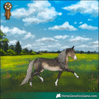 Horse Color:Silver Smoky Black 